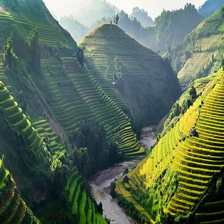 Les rizieres en terrasses de Sapa